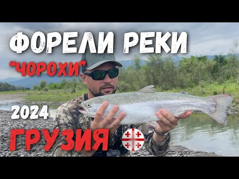 Видео: Форели реки Чорохи, рыбалка в Батуми , Грузия .