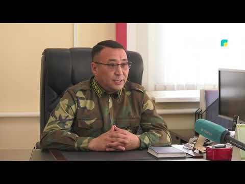 Видео: Орман шаруашылық жұмыстары