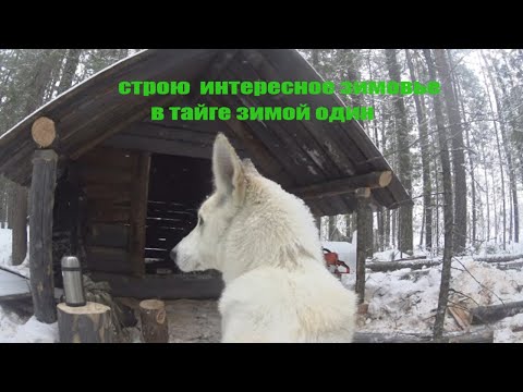 Видео: Майн Крафт в тайге на промысле