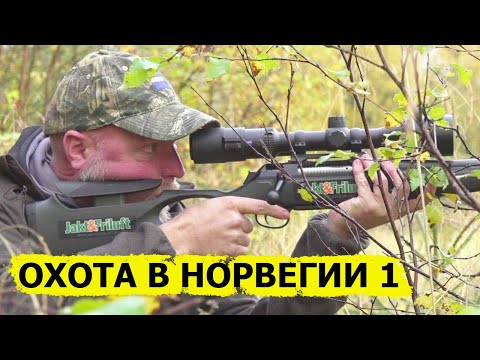 Видео: Охота в Норвегии (без цензуры) 1/ NORDIC WILD HUNTER (Охотник и рыболов)