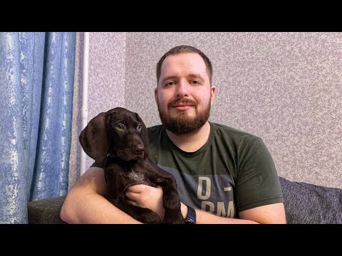 Видео: Курцхаар Райд 1 серия