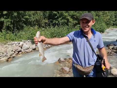 Видео: рыбалка в КБР # Trout fishing