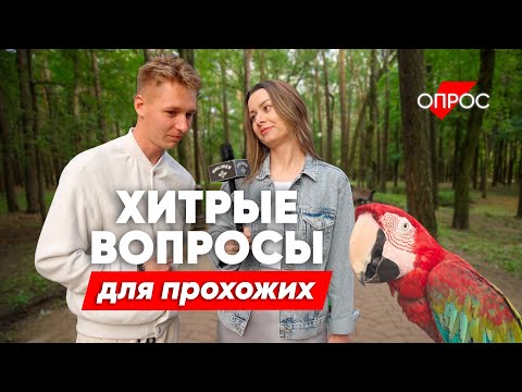 Видео: Какой самый большой орган человека? Вы точно не ответите на эти простые вопросы!