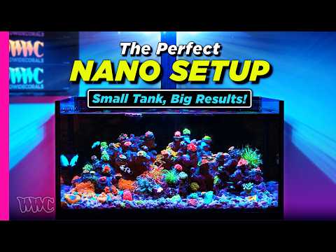 Видео: Создаем идеальный нанориф: Lou 25G получает обновление для кораллов!