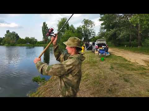 Видео: Классная рыбалка на пруду 8КМ ТКОСОВСКИЙ.