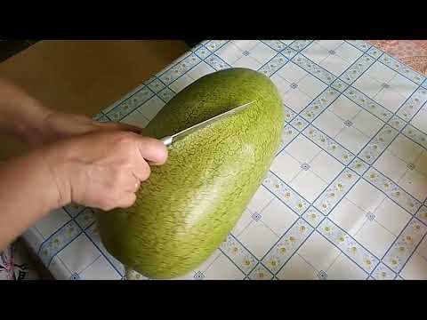 Видео: 24.07.19 Арбузы: Медовый гигант, Cocoro, Shuro Kuma