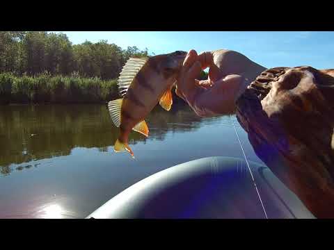 Видео: Рыбалка на спиннинг в июле 2022