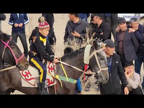 Видео: 5 ноября 2023 г. Беруний Кизилкала Атчапар