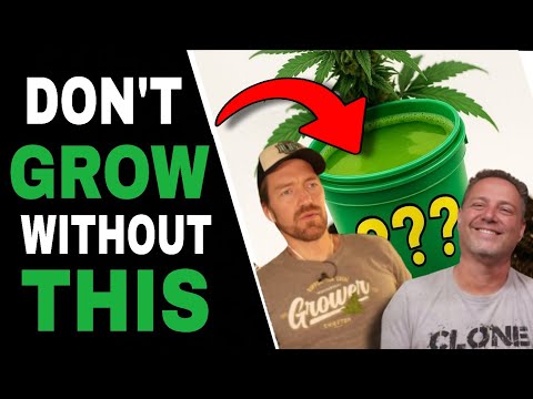 Видео: Профессиональные производители каннабиса используют эти почвенные микробы для получения более кру...