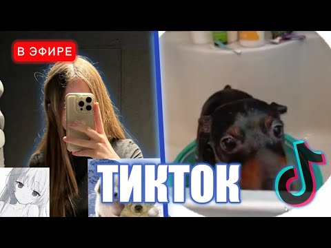 Видео: ЛИЗА СМОТРИТ ТИКТОКИ #19 | iceicell