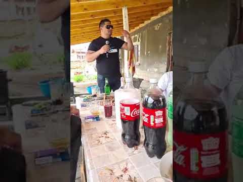 Видео: Genadi Peveca 2021 balada  0884359985 mix live  Генади Певеца балади микс 2021 Amet baladi 2021 live