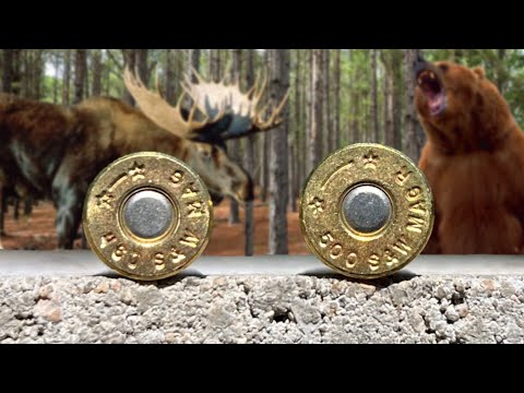 Видео: 460 S&W против 500 S&W: огромная разница