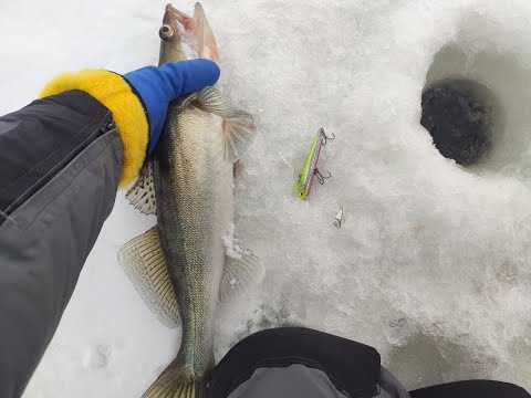 Видео: Долгожданное открытие зимнего сезона  2023-2024