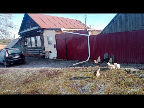 Видео: Жизнь в деревне.Погода наладилась.Мороз и солнце.К зиме подготовилась.Посмотрите сколько дров😉