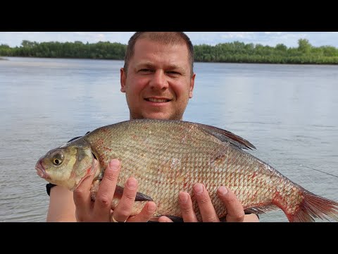 Видео: Бешенный клёв Леща на Иртыше в Омске