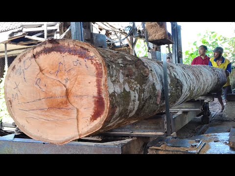 Видео: Слишком много секретов за 30-футовой древесиной ваданг на лесопилке.
