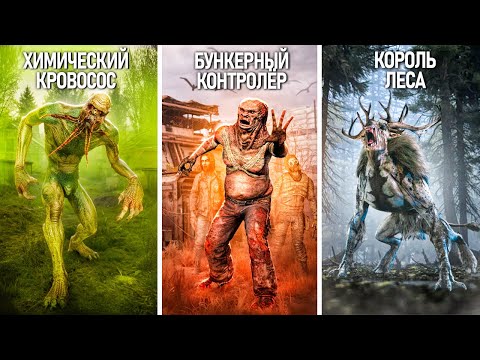 Видео: 13 УНИКАЛЬНЫХ МОНСТРОВ из S.T.A.L.K.E.R. 2