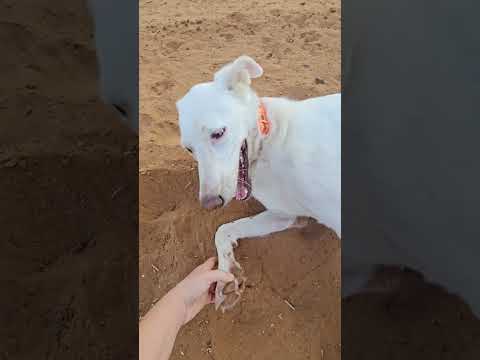 Видео: Доброе утро 🥰