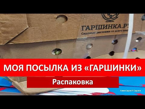 Видео: Посылка из "Гаршинки". Неприятности.