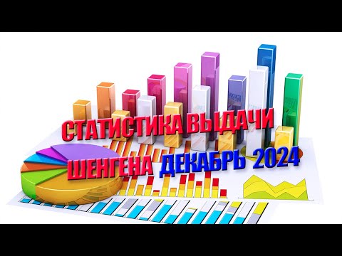 Видео: Как выдавали Шенгенские визы зимой 2024
