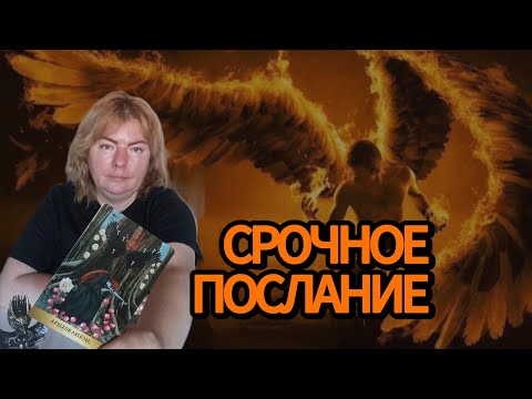 Видео: ‼️У ТЕБЯ ЗАБЕРУТ КРЫЛЬЯ ‼️