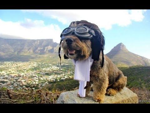 Видео: История пулеметно-пушечного  вооружения.