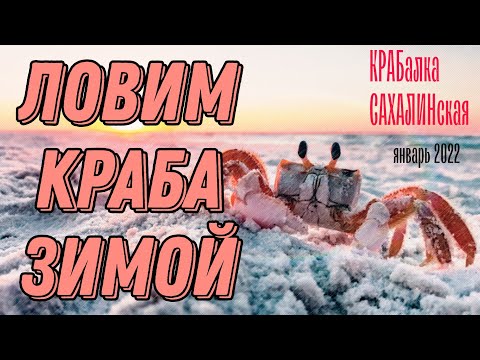 Видео: КРАБалка. САХАЛИНская. Ловля краба зимой.  2022г.