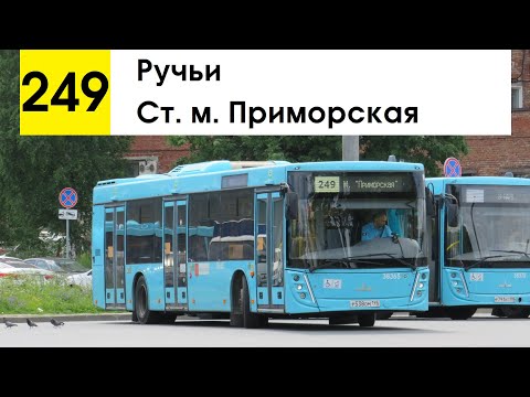 Видео: Автобус 249 "Ручьи - ст. м. "Приморская"