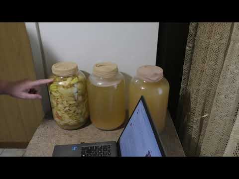 Видео: 🍎 ЯБЛОЧНЫЙ УКСУС и ГРИБ -МАТКА ✅Как Хранить , чем Закрывать и когда ?Ответ на Комментарий .