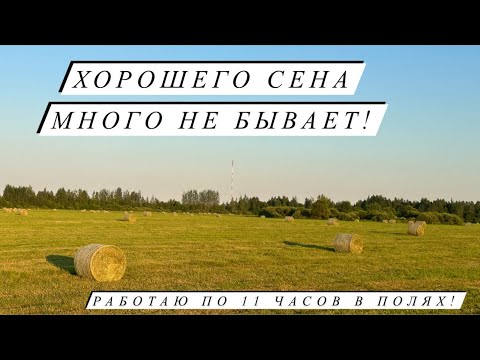 Видео: В день по 300 рулонов сена, реально ли заготовить девушке работая на тракторе?! Жизнь в деревне!