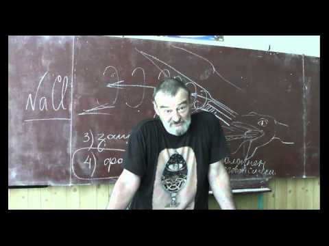 Видео: Драконоведение. Часть 21