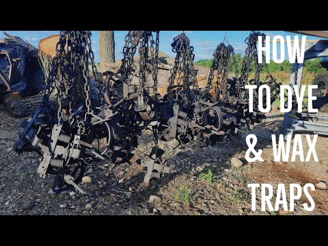 Видео: Как покрасить и натереть воском ловушки (и снять старый воск!) для отлова лис и койотов