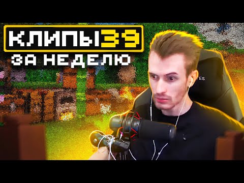 Видео: МайнШилд 4 | Клипы за неделю | Часть 39