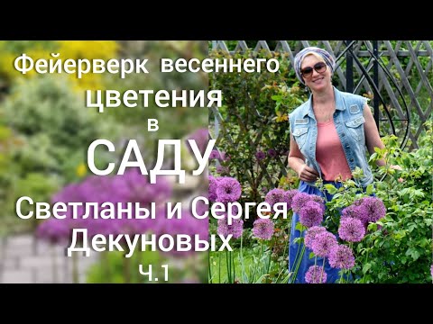 Видео: Прогулка по САДУ. Весенние ЦВЕТНИКИ в МАЕ. Схема посадок , подбор растений, уход. Влог.