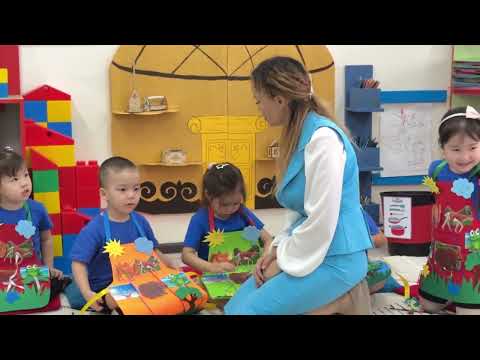 Видео: Зерттеуші бүлдіршін” ересек тобында “Табиғатқа қамқорлық”тақырыбында кіріктірілген іс-әрекет