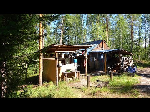 Видео: Одиночный поход по северной реке ч1. Лесная изба. Заброшенная деревня в глухой тайге. Ночь в лесу