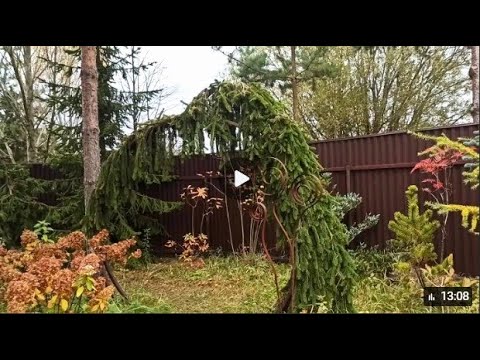 Видео: Прогулка по волшебному осеннему лесу 🍁🌲🍂В гостях у Александра и Татьяны Высоконовых 17.10.25.