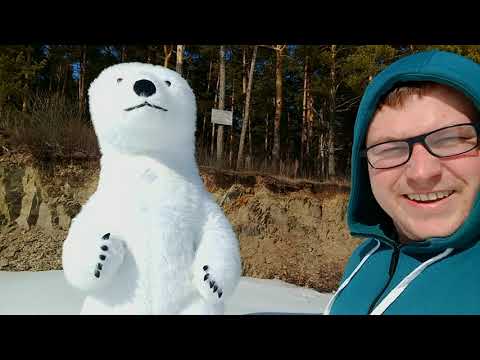 Видео: Костюм белого медведя из Китая, обзор.