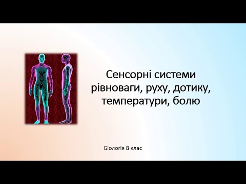 Видео: Біологія людини. Сенсорні системи рівноваги, руху, дотику, температури, болю