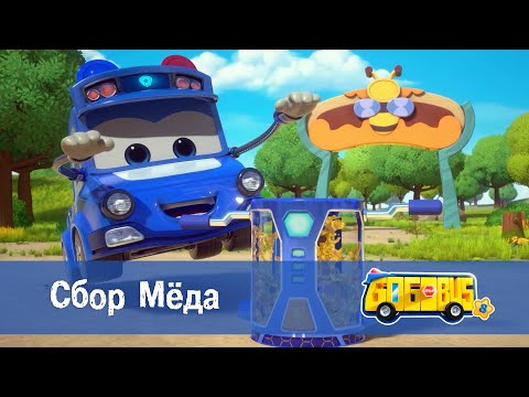 Видео: 🚌Школьный автобус Гордон. Сезон 8 - Серия 10.Сбор меда - Мультфильм