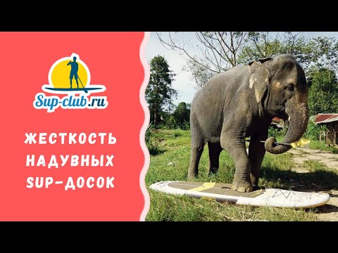 Видео: Как выбрать SUP доску. Жесткость надувных досок.