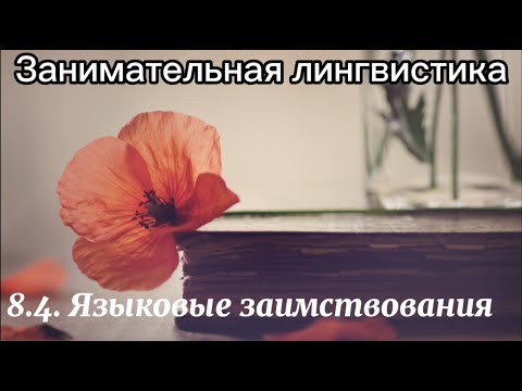 Видео: 8.4.  Языковые заимствования