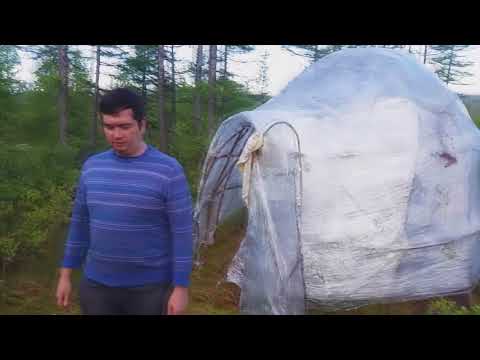 Видео: 2 года спустя. Купол из стретч пленки как у Адвоката Егорова