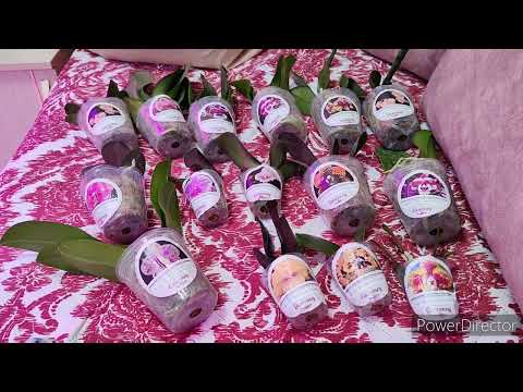 Видео: Орхидеи 🥰Первая посылочка 2024 года,супер красота👍🔥