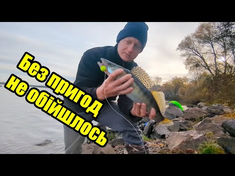 Видео: Щахеди, судак та зламаний підсак 🐟