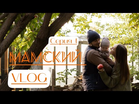 Видео: День с 6-ТИ месячным ребенком|шопинг на ВБ|прогулка|обзор двора