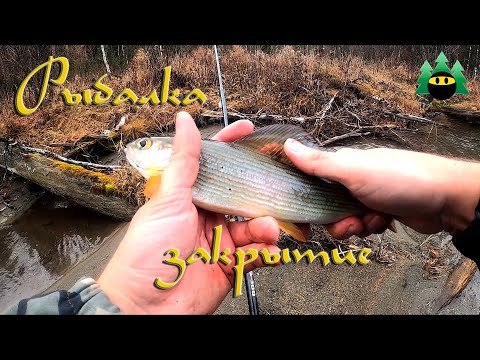 Видео: Рыбалка закрытие