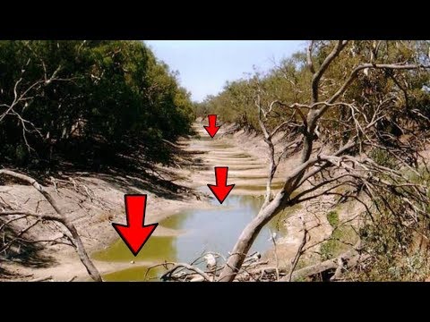 Видео: НЕОЖИДАННЫЕ НАХОДКИ В СТАРОМ РУСЛЕ РЕКИ! В Поисках Клада от Влада!