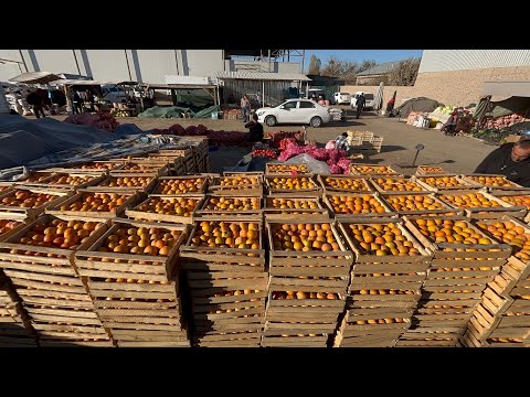 Видео: 12 НОЯБР ТУРТКУЛ ДЕХКОН БОЗОР НАРХЛАРИ