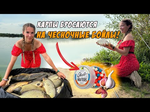 Видео: ЛЮВЛЮ КАРПА НА ФЛЭТ ФИДЕР. Поставила этот бойл и начался КЛЕВ!